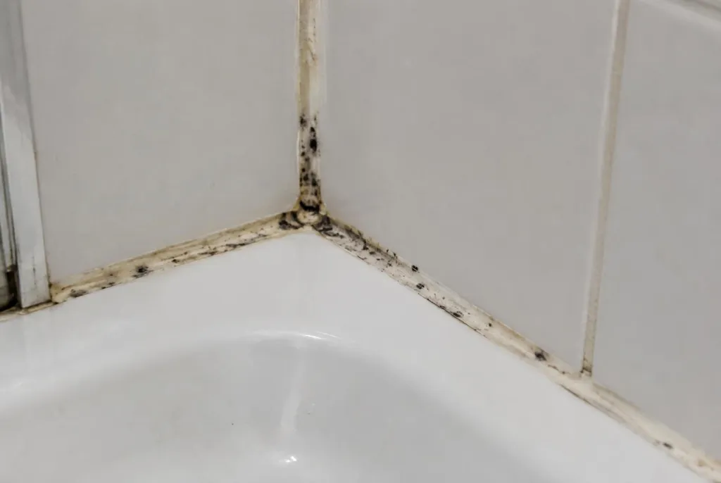Kitbedrijf Katwijk – beschimmelde kitranden
